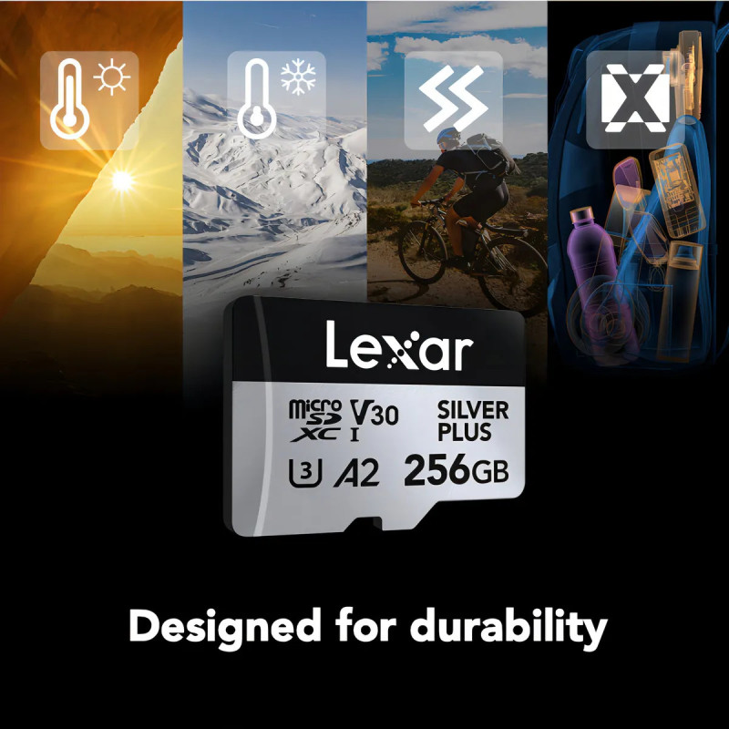 Micro SD Lexar Professional SILVER PLUS 256GB