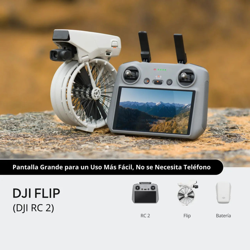 DJI Flip (DJI RC 2) (GL)